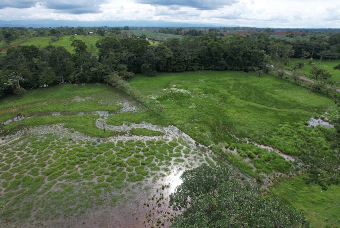 Finca Lechera en Costa Rica